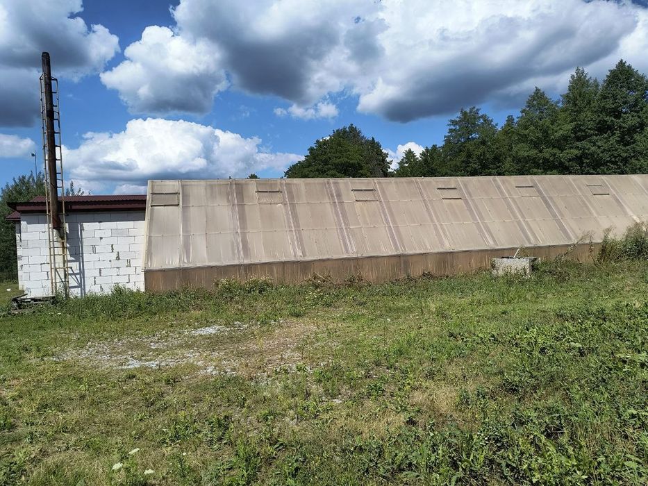 Ферма для вирощування птиці.