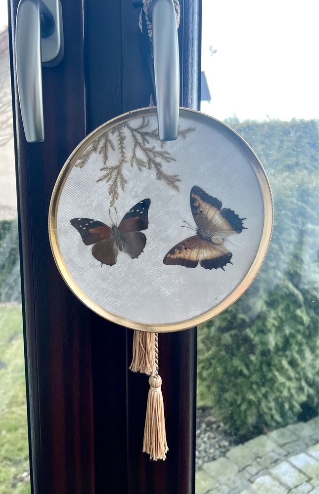 Talerz ścienny kolekcjonerski gablota patera motyle obraz