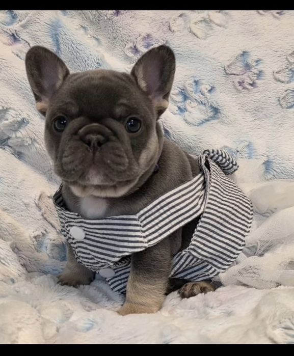 ДІвчинка блакитна: