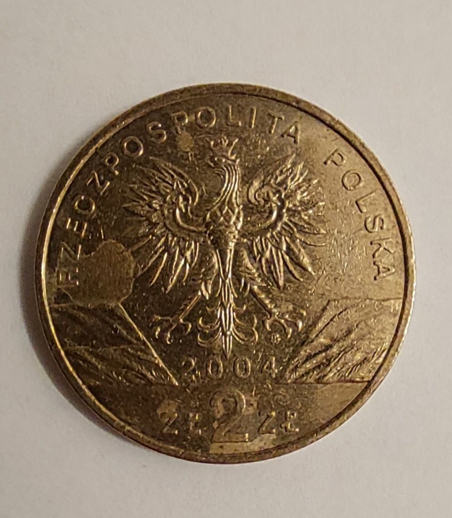 Moneta 2 złote morświn 2004 okolicznościowa Golden nordic