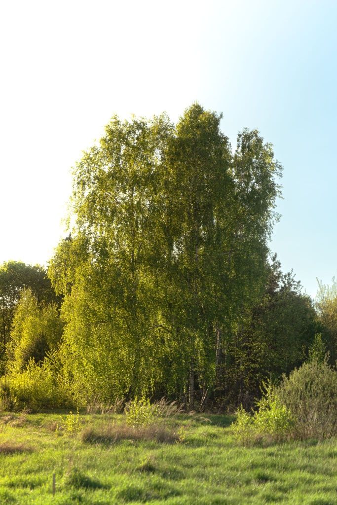 Domek Na Kaszubach z balika ogrzewany .Dla Seniorów i Młodych