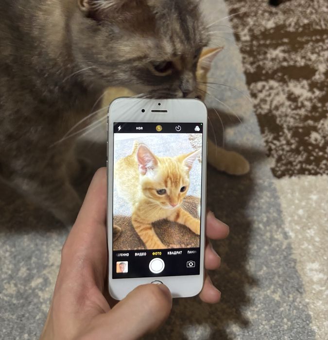 iPhone 6s Айфон 6с