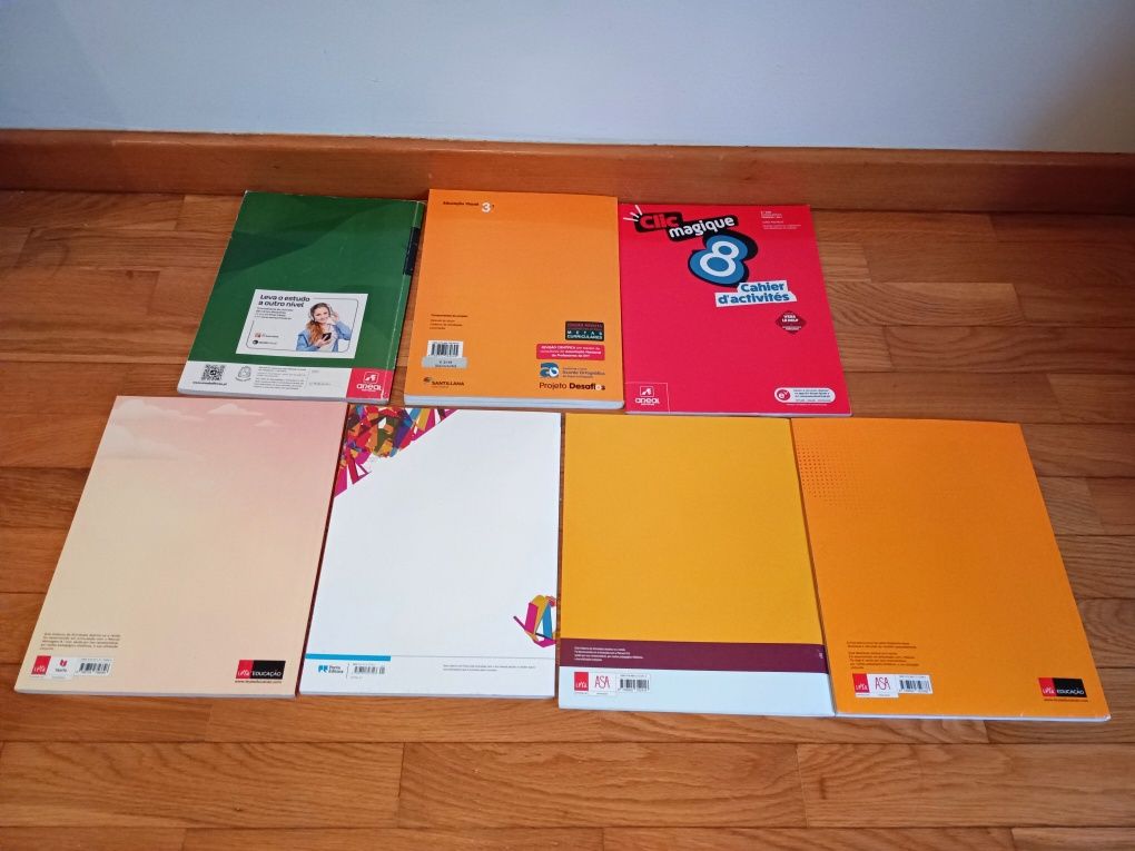 Manuais e Cadernos de Atividades/Livros de Fichas 8º Ano