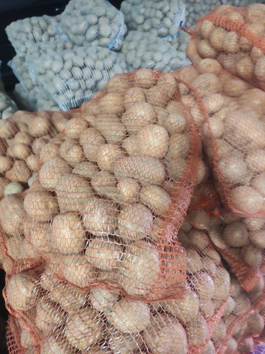 Ziemniaki jadalne Sifra