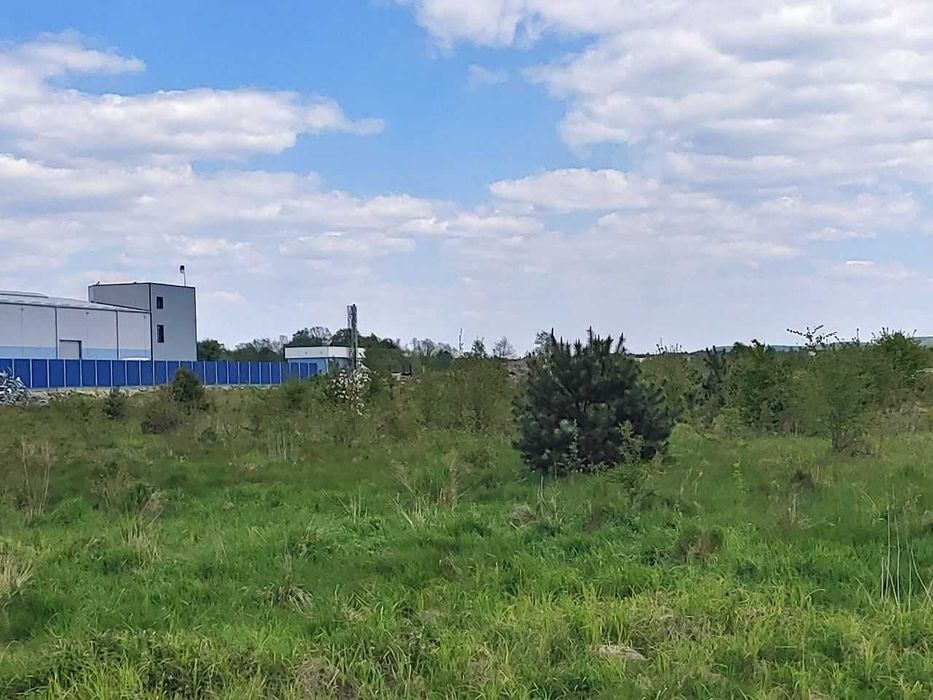 Продаж земельної ділянки, 122сот, Бірки