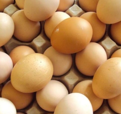 Різні інкубаційні яйця