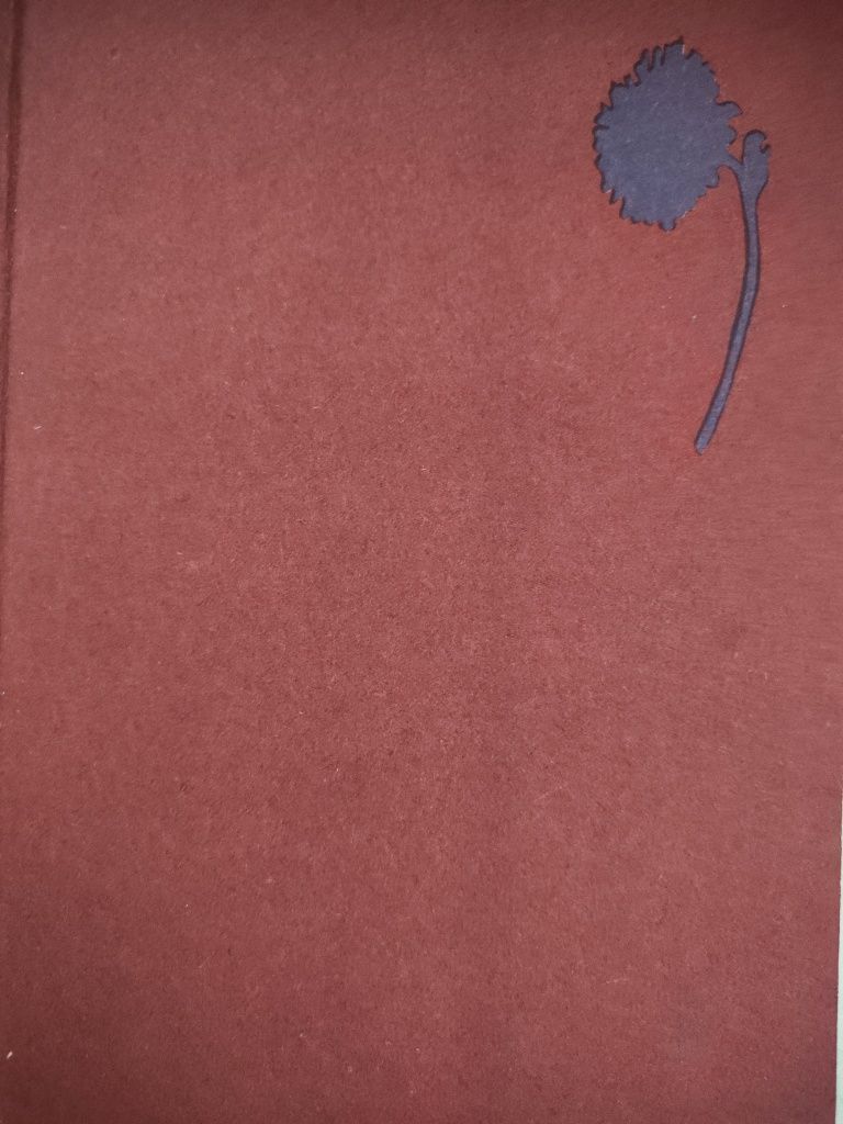 Polska literatura współczesna - Ryszard Matuszewski