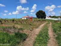 Terreno urbano , localizado na Moita dos Ferreiros - Lourinhã