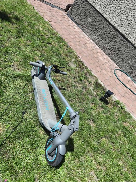 Hulajnoga Motus scooty 10 2022r