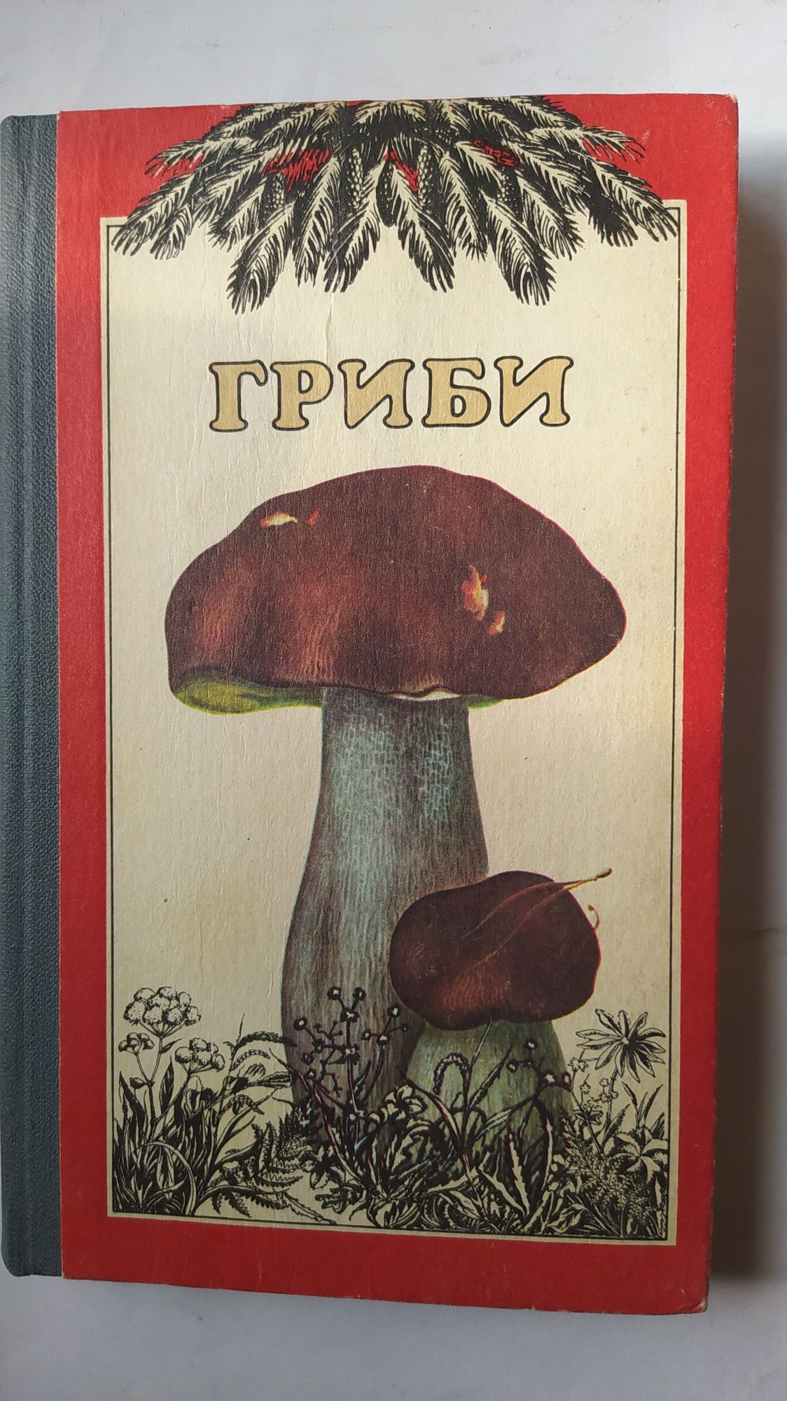 гриби Укриїни,атлас довідник.