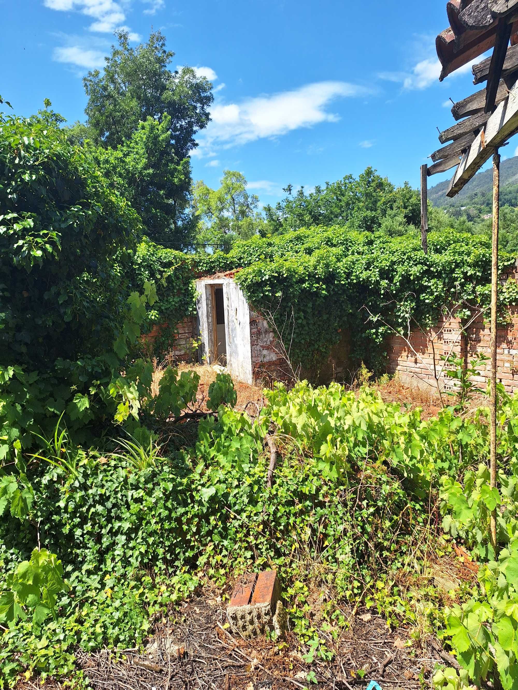 Casa Eiras de castelões, terrenos