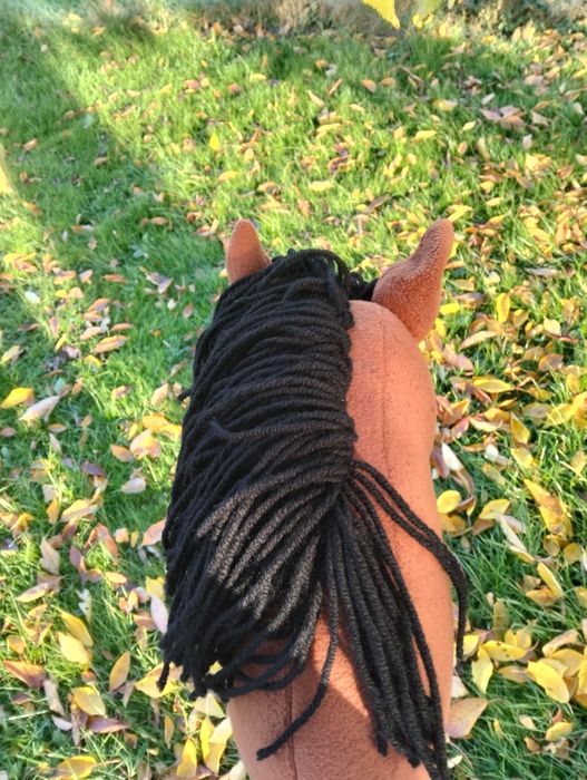 Hobby horse (pilne) cena do negocjacji