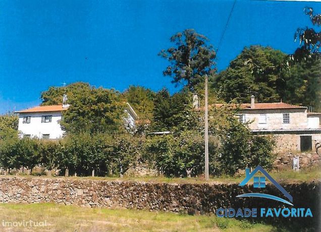 Excelente Quinta agrícola com casas e área total de 55 hectares