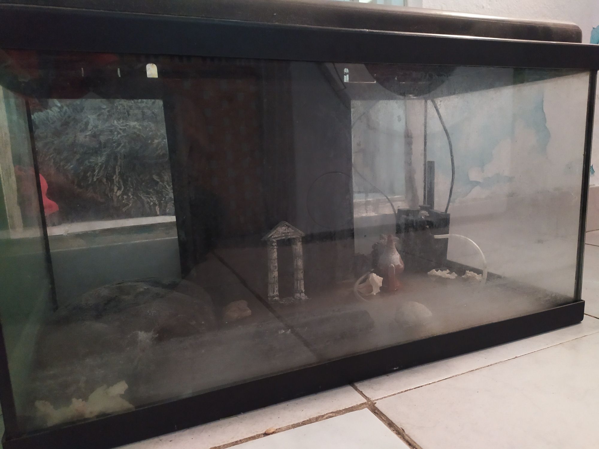 Aquário de 60 cm