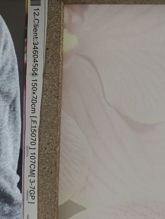 Obraz na płutnie storczyk 5 czesciowy