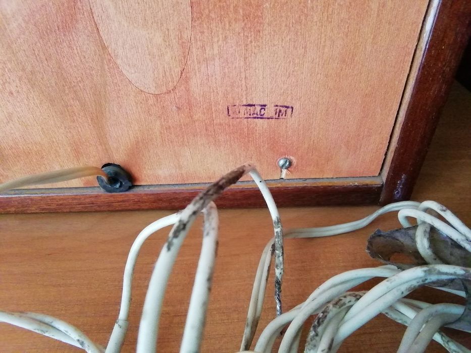 Колонки Вега 101