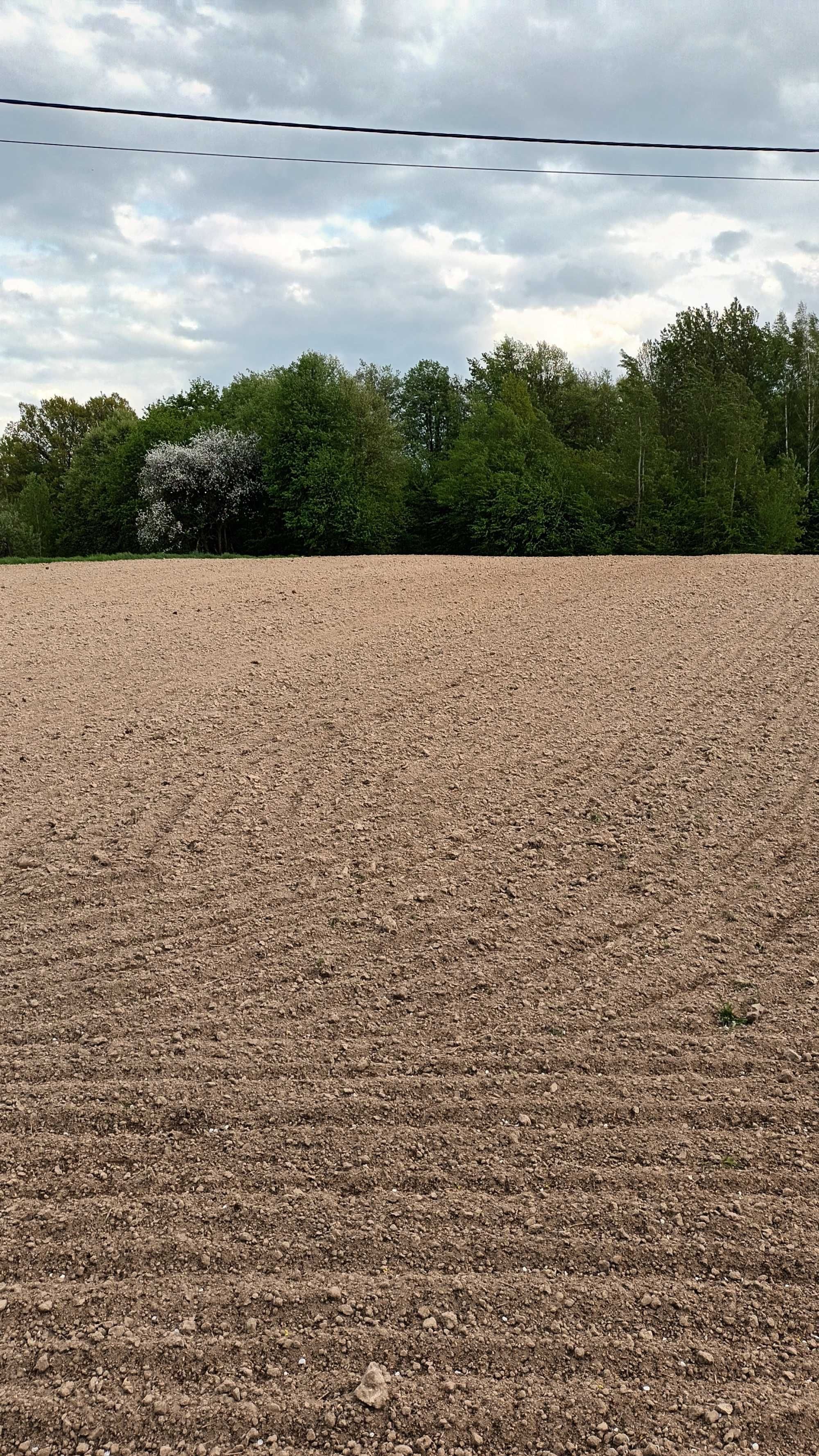 Działka w Kazimierzu Dolnym