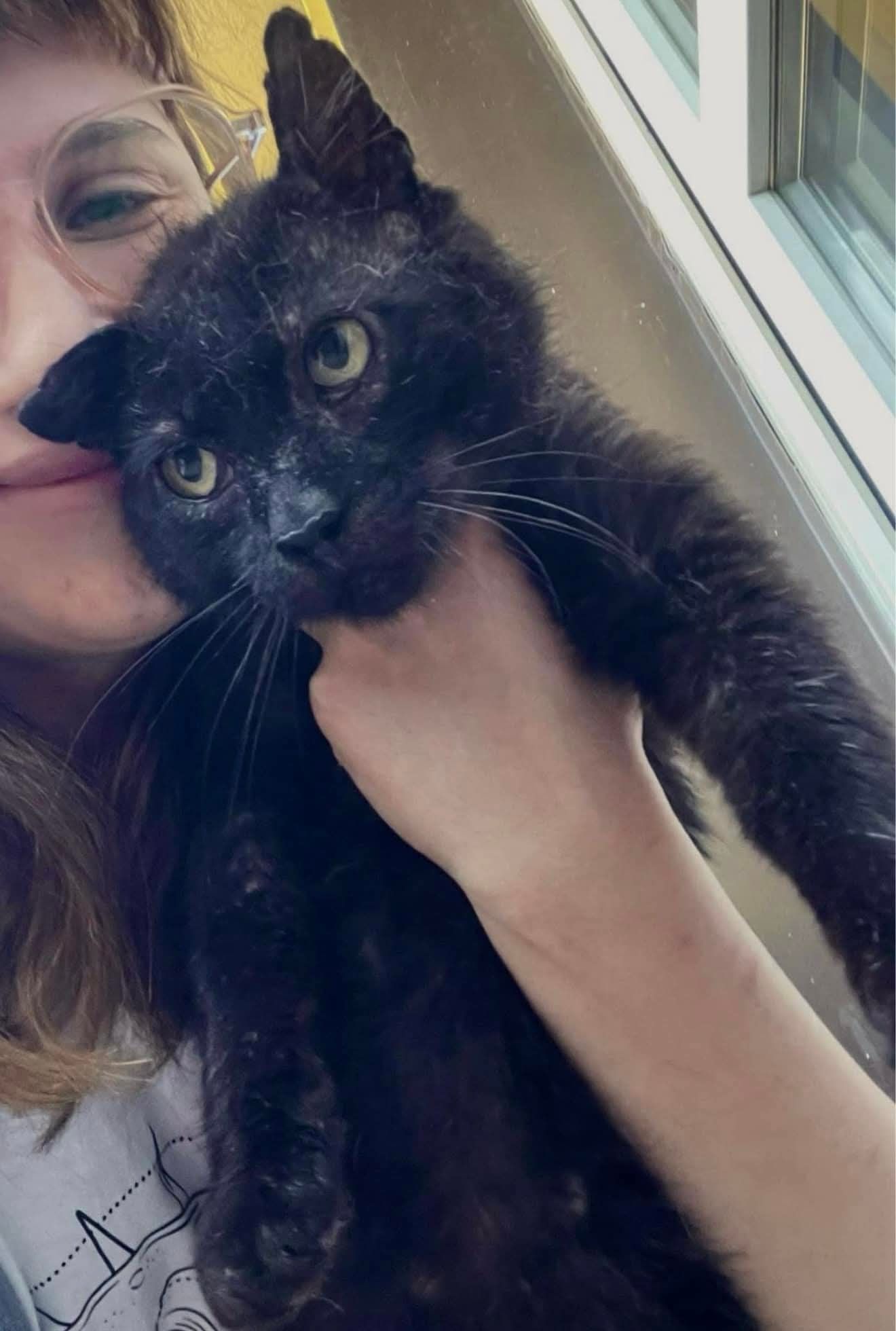 Kochany Lucky czeka na adopcje
