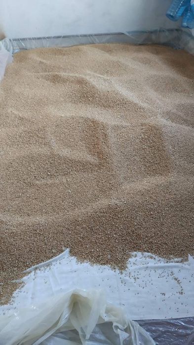 Зерно пшениці мука,корм