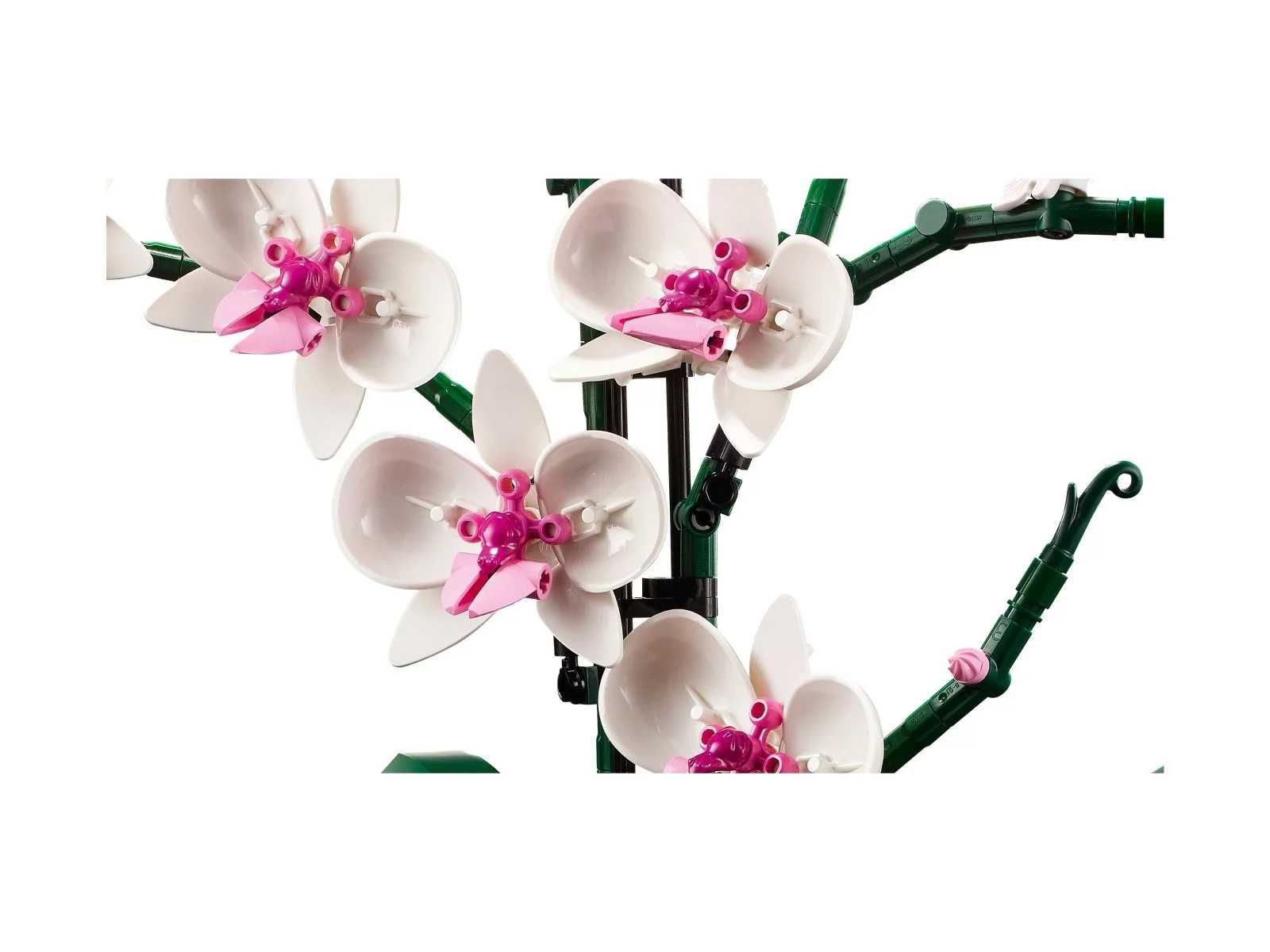 LEGO® Orchidea Darmowa Dostawa  !!!