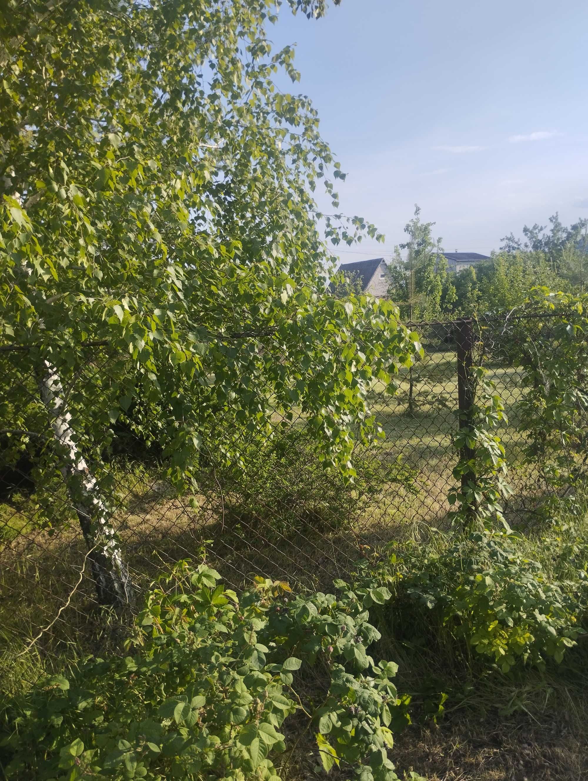 Сдам дачу в Партизанском