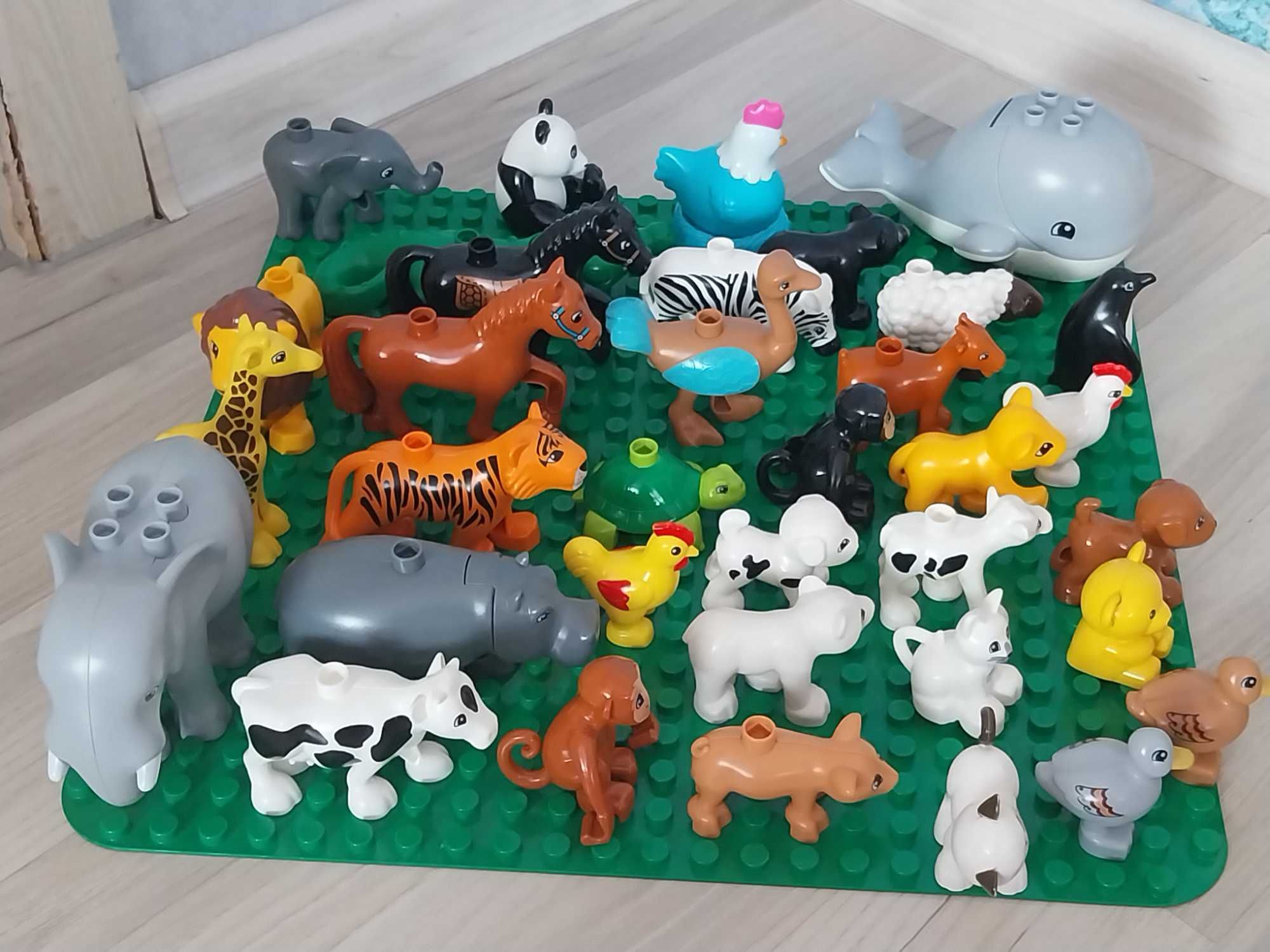 Lego jak Duplo Zwierzęta wielki zestaw