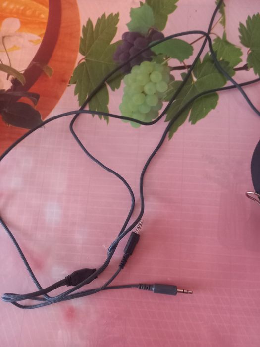 Навушники комп'ютерні.