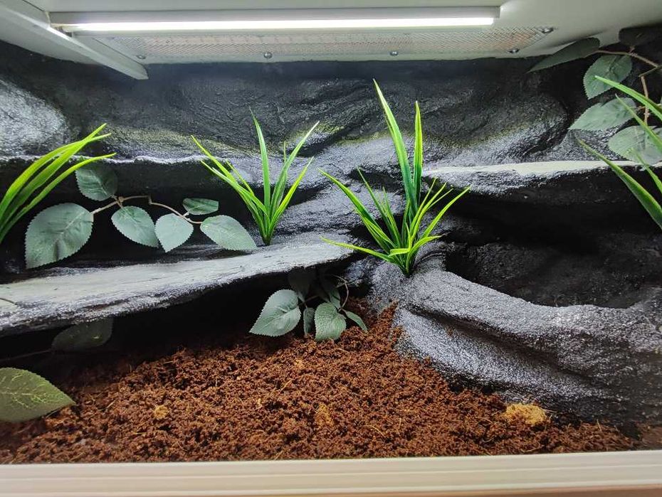 Terrarium tropikalne nr702 80/40/40 dla węża boa pyton DOSTĘPNE