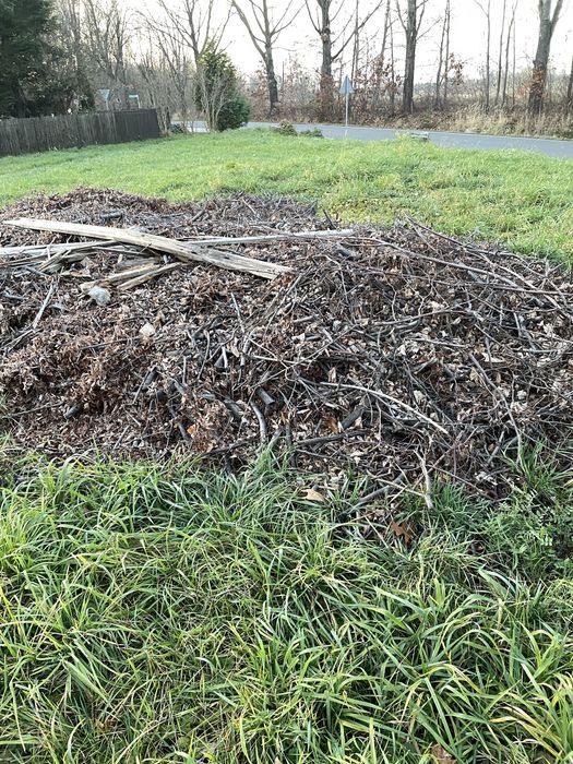 Oddam za darmo drobno pocięte gałęzie