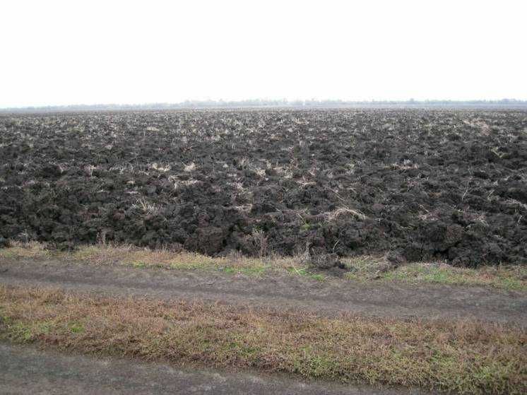 Земля сельхоз (9,75Га) Николаевская обл. Веселиновский р-н, с.В.Квитка