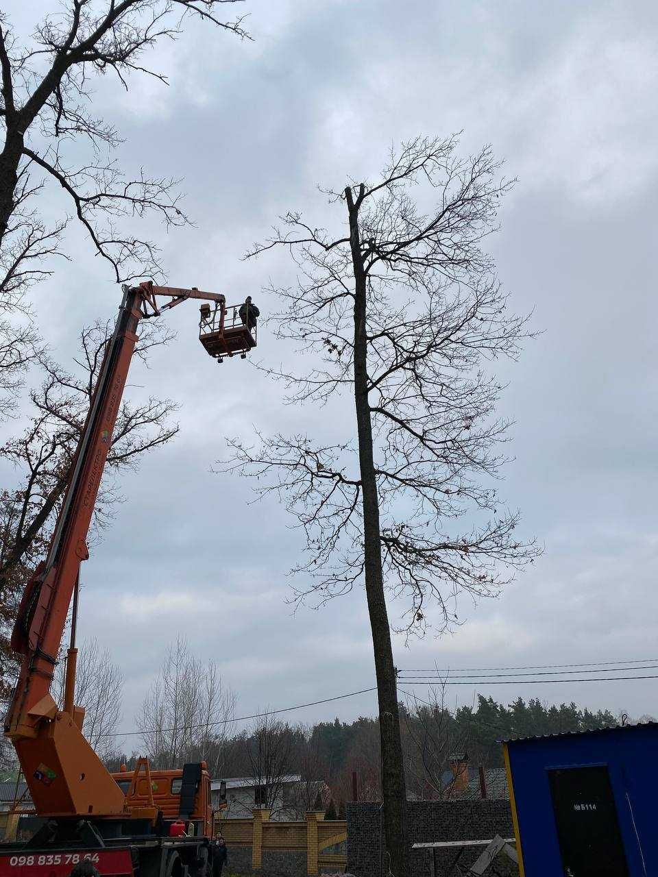 Зрізання аварійних високих дерев Київська обл. Недорого!
