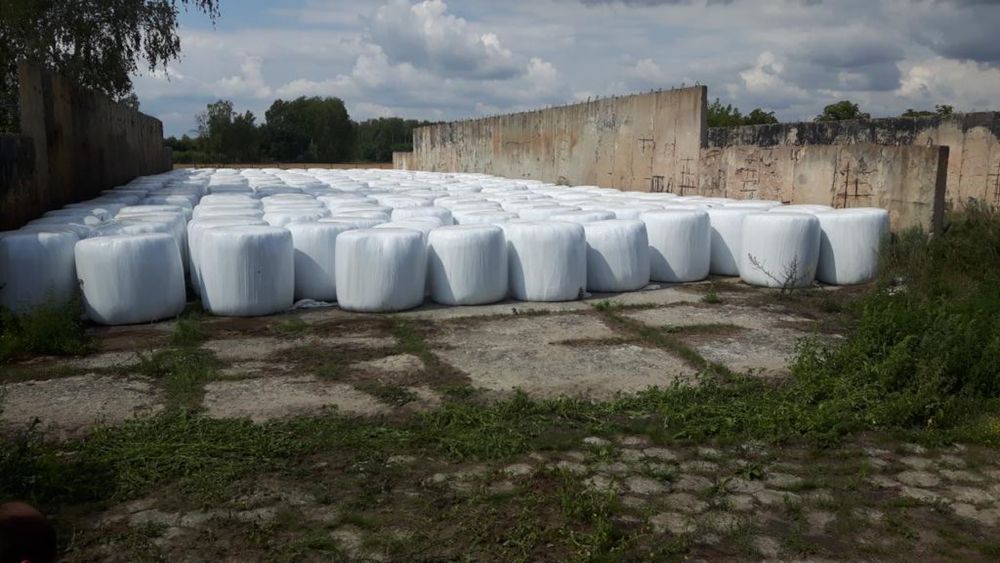 Sianokiszonka pierwszy pokos z lucerny, koniczyny i traw sianych