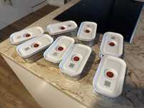 Zwilling conjunto 8 caixas recipientes vidro