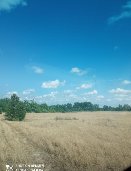 Продається земельна ділянка 350 соток у Бородянці