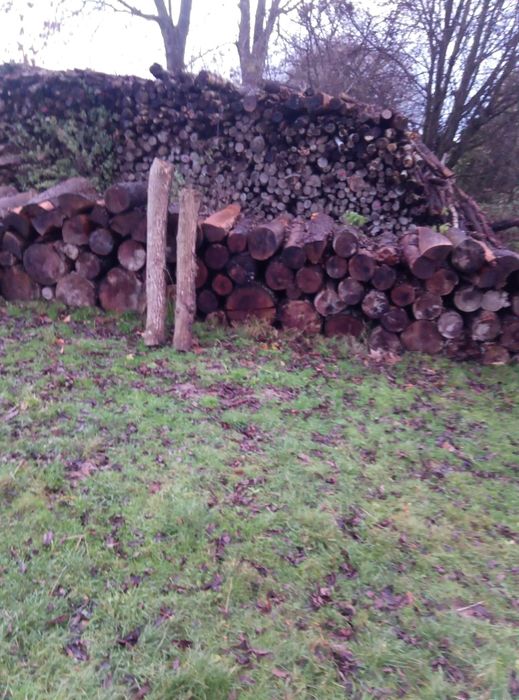 Sprzedam drewno opałowe