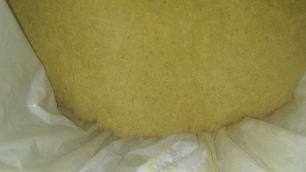 Kukurydza mielona ccm bigbag pasza dla krów opasów