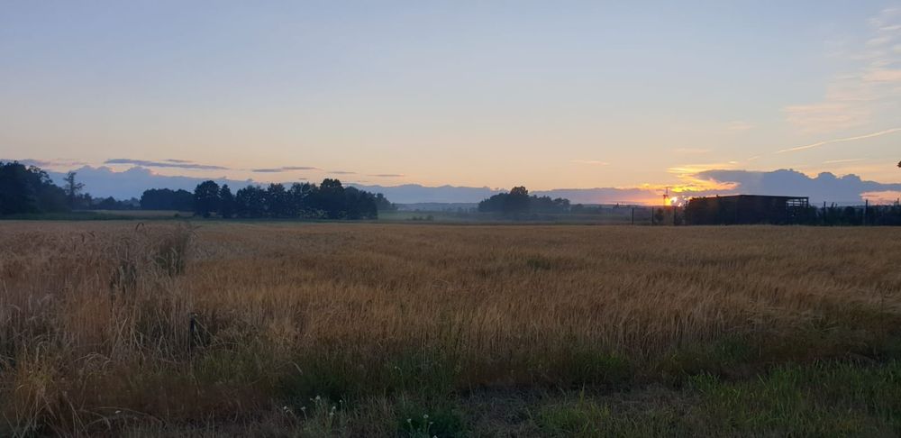 Działki budowlane Tabor Wielki 10 arów