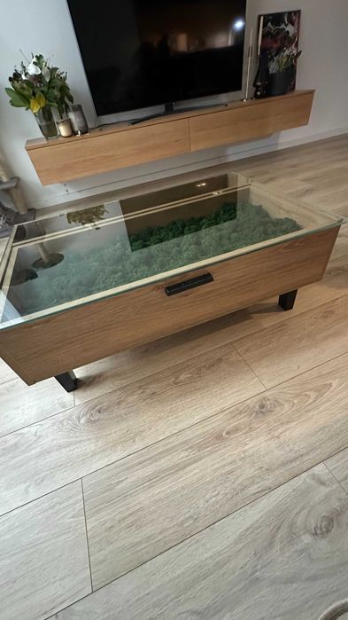 stolik do salonu z mchem chrobotkiem