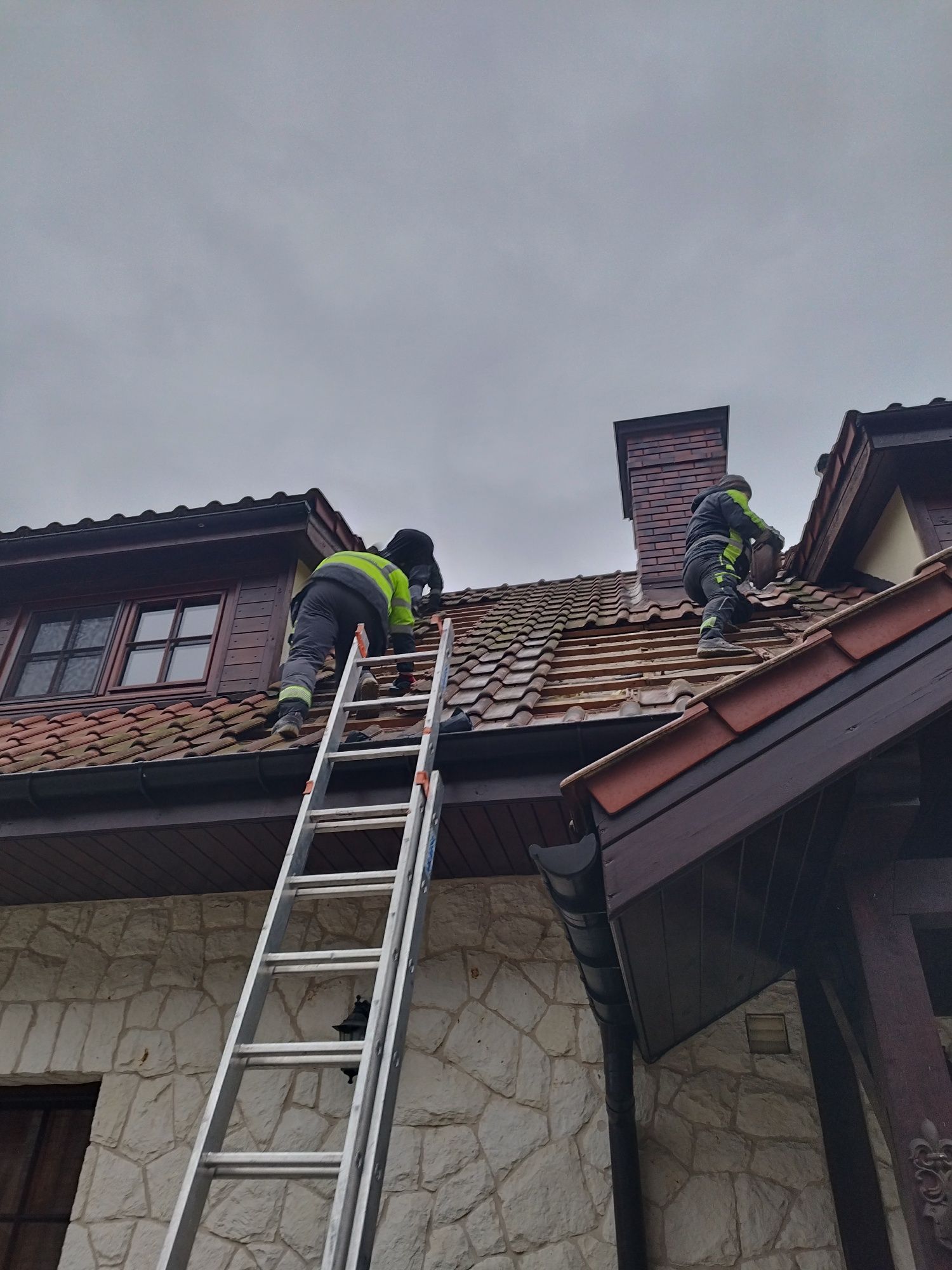 PRO TERM Izolacje Celulozą Naprawa Izolacji po Kunach