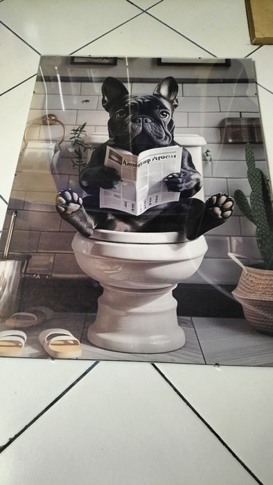 Obraz buldog na toalecie