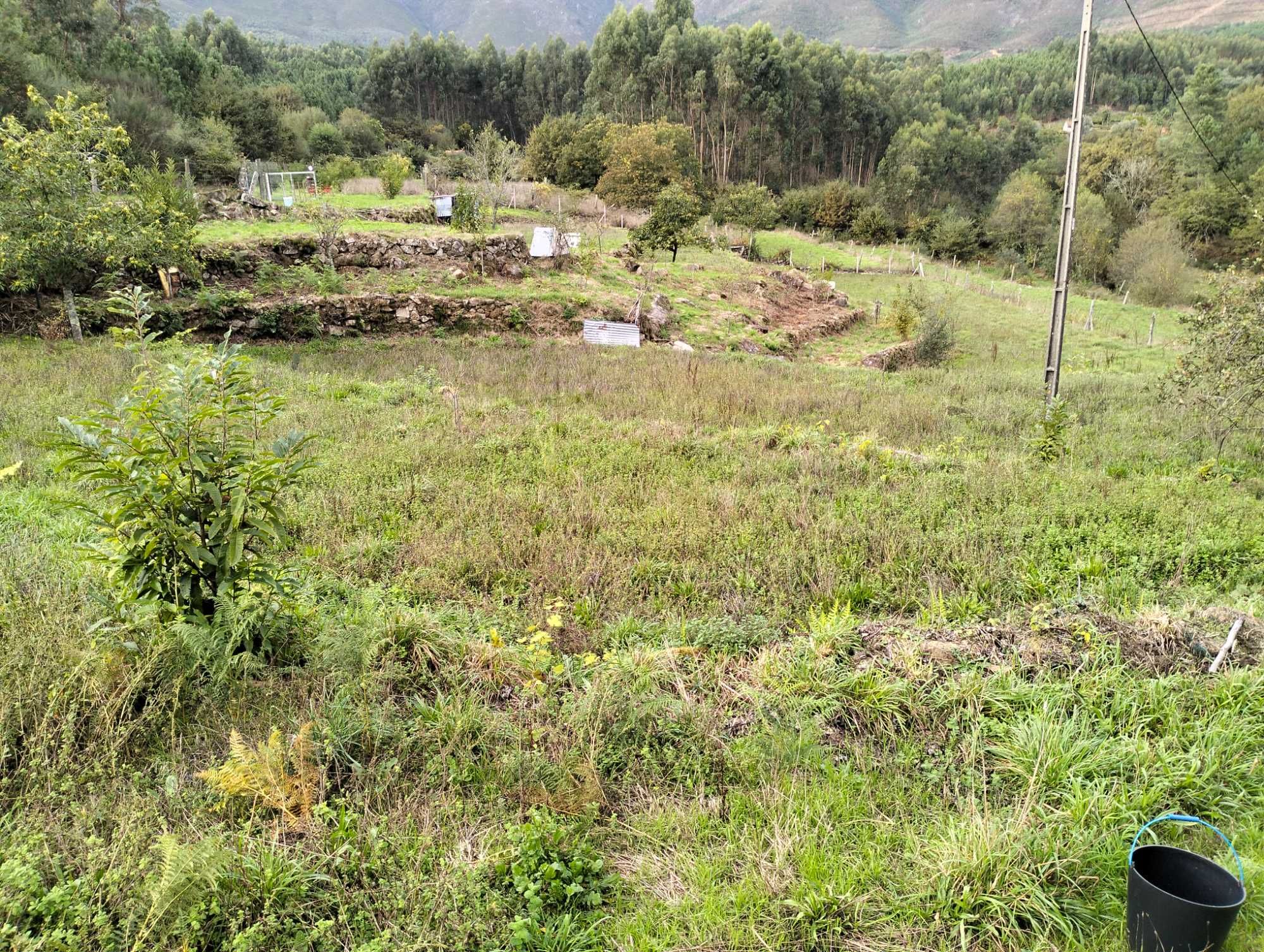 Quinta nas Montanhas Mágicas