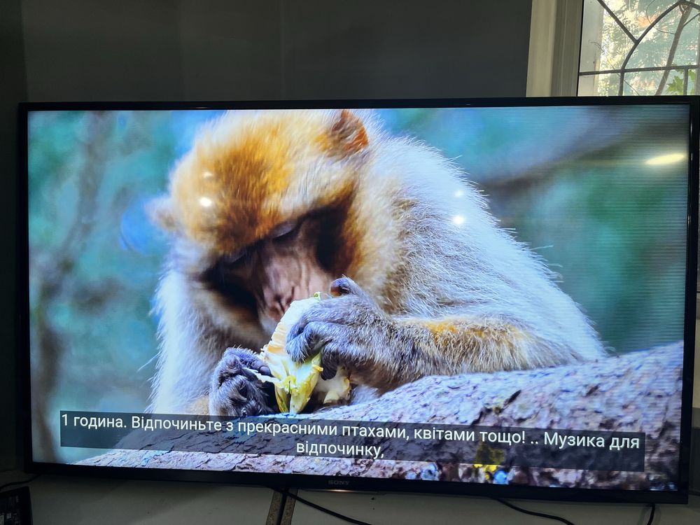 УЦІНКА Телевізор sony 55 дюймів 4К android smart