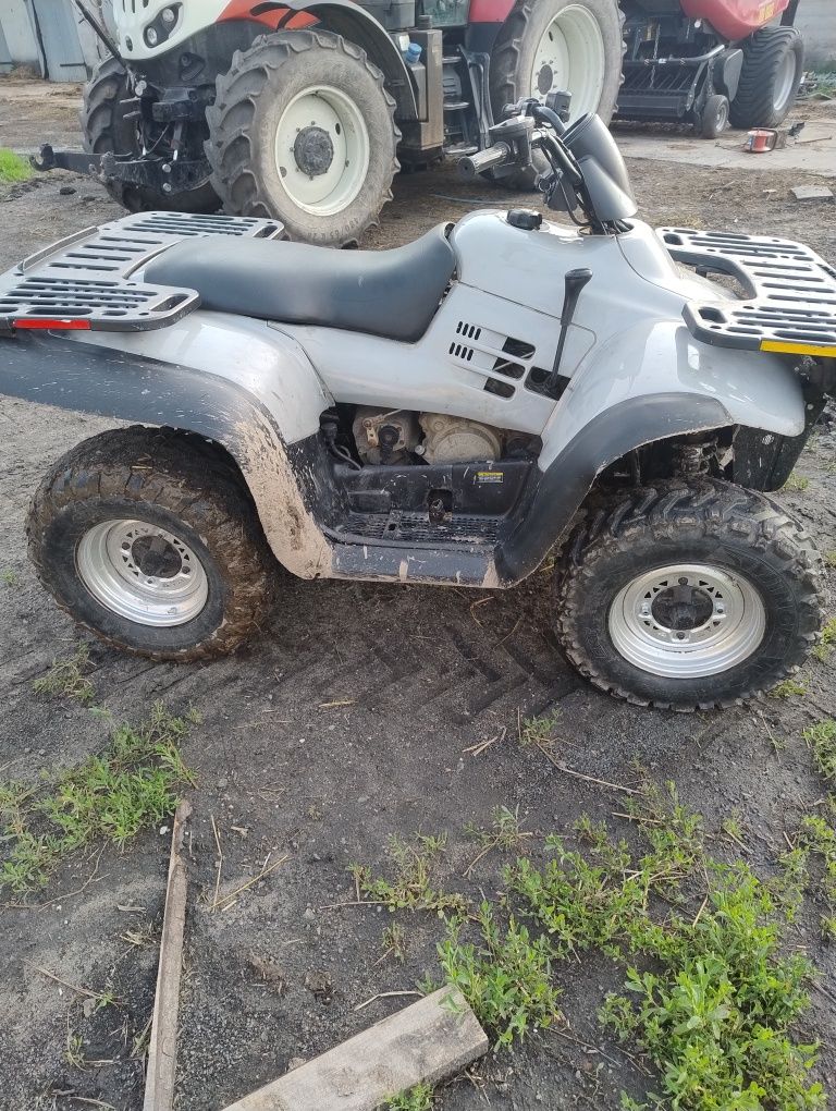 quad polaris magnum 330