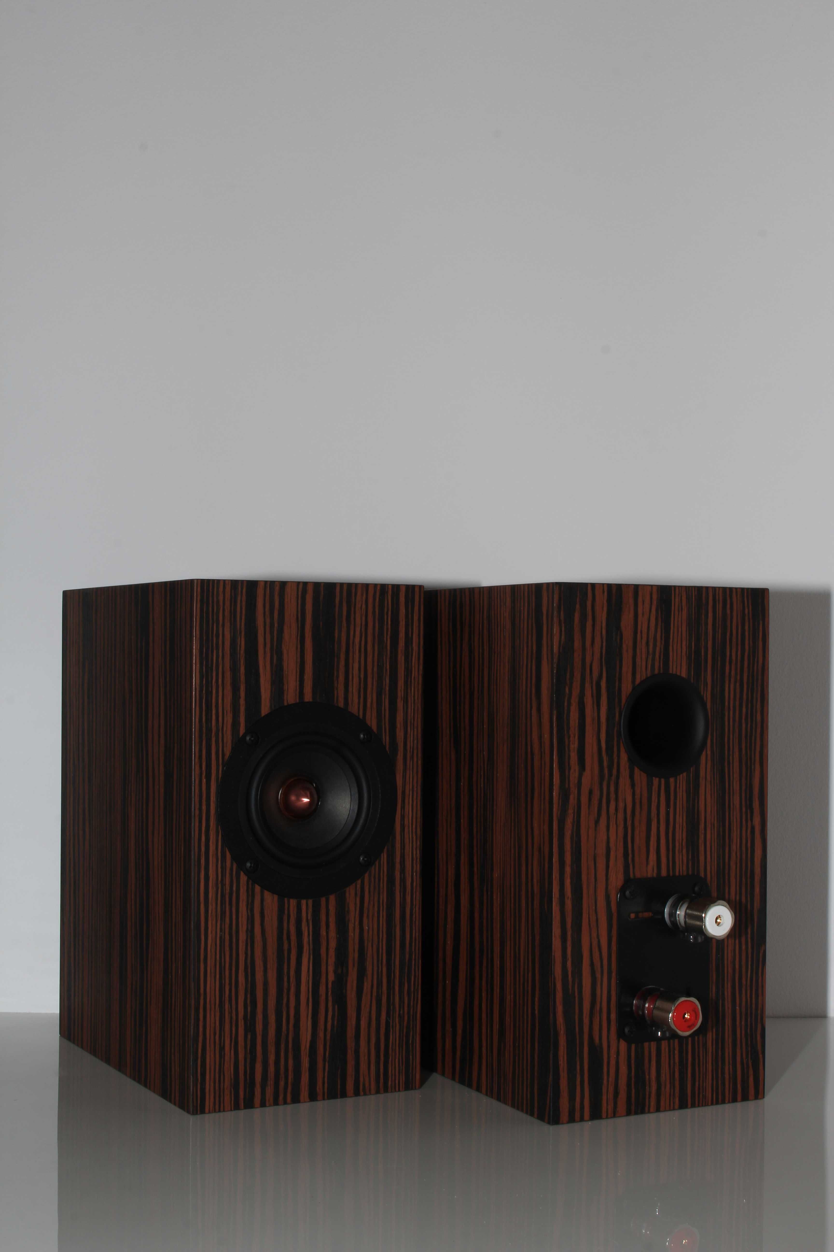 Monitory - monitorki - DAYTON PS95 - PS95-08