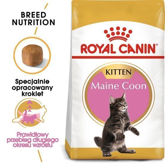 Karma dla kociąt Maine Coon, kotek w ciąży/karmiących Royal Canin 2kg