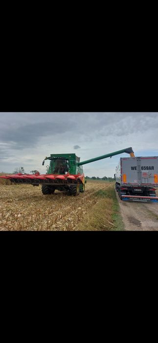 Koszenie kukurydzy na ziarno