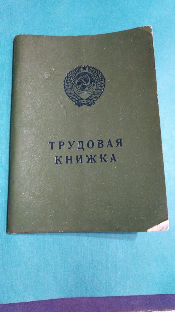 Трудовая книжка. Чистый бланк Разновидности