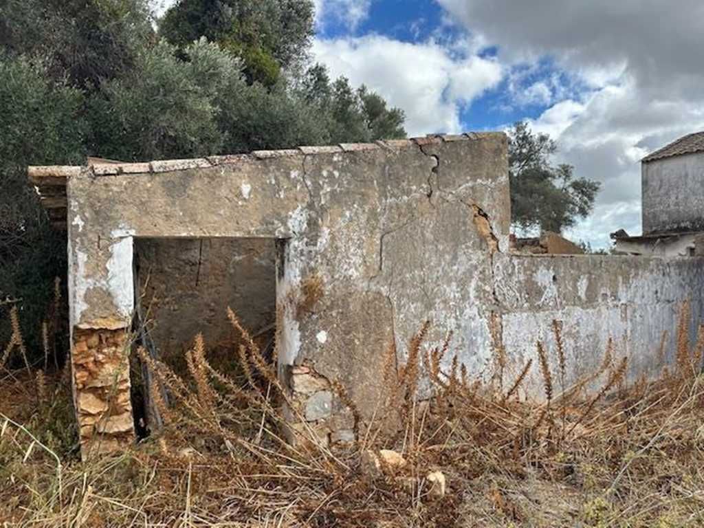 Quinta para recuperar com 22.480m² em Moncarapacho – a 5 min da Fuseta