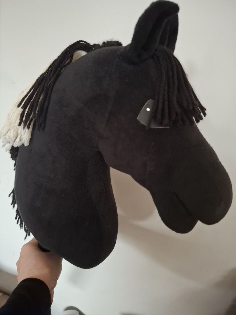 Hobby horse kary