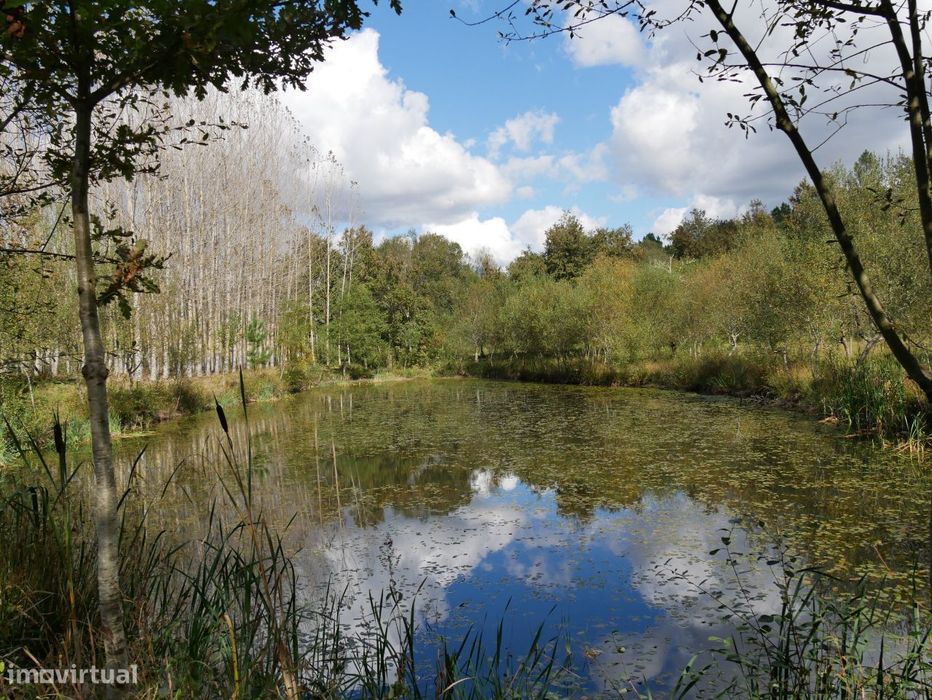 Quinta com floresta e lago